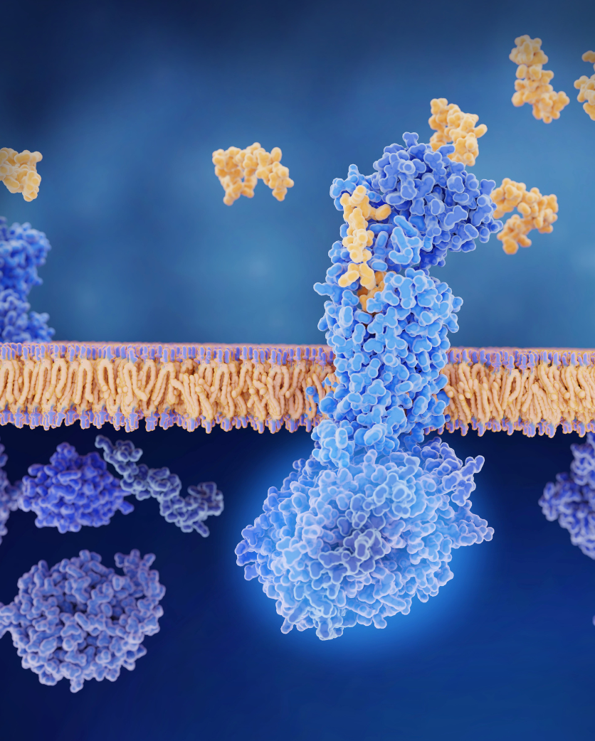 Skin Microbiome