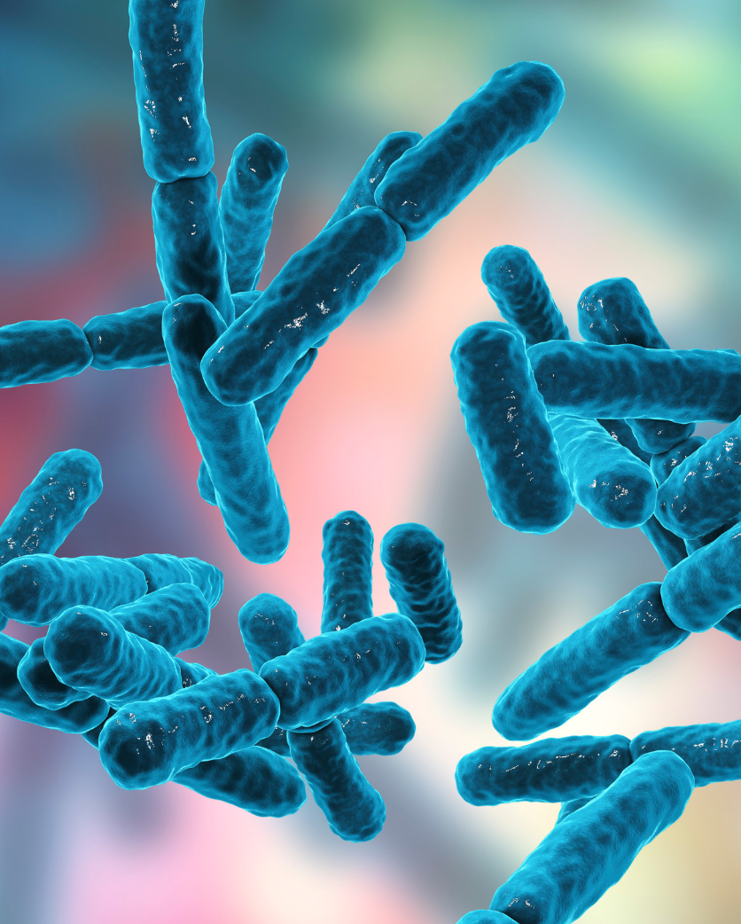 Probiotic and Microbiome Scalp Care