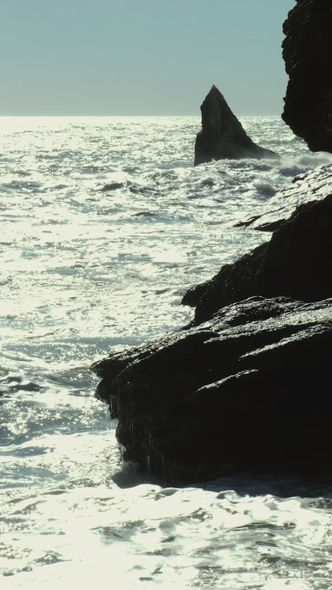 Hair Fall Therapy Shampoo